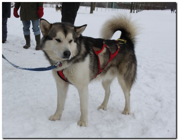 Grenzlandtour I 006.jpg